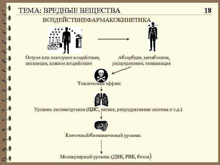 ТЕМА: ВРЕДНЫЕ ВЕЩЕСТВА ВОЗДЕЙСТВИЕФАРМАКОКИНЕТИКА Острое или повторное воздействие, ингаляция, кожное воздействие Абсорбция, метаболизм, распределение,