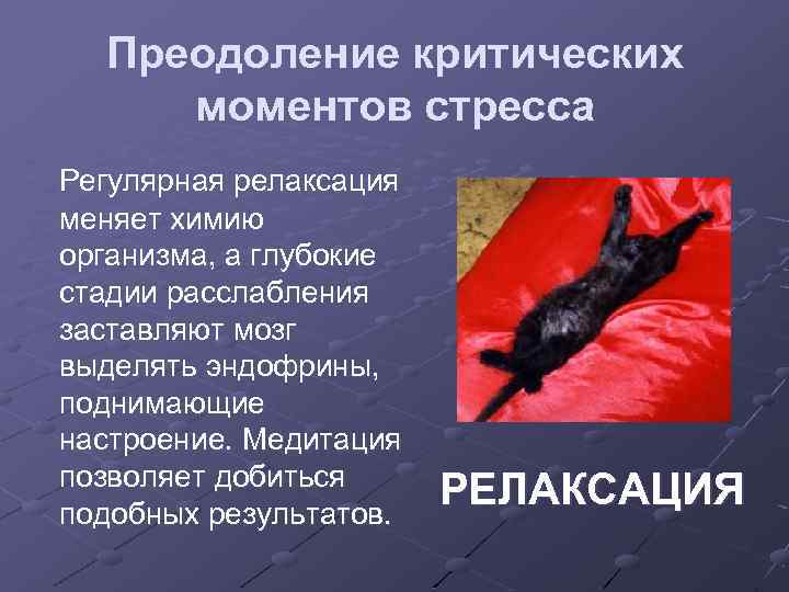Преодоление критических моментов стресса Регулярная релаксация меняет химию организма, а глубокие стадии расслабления заставляют