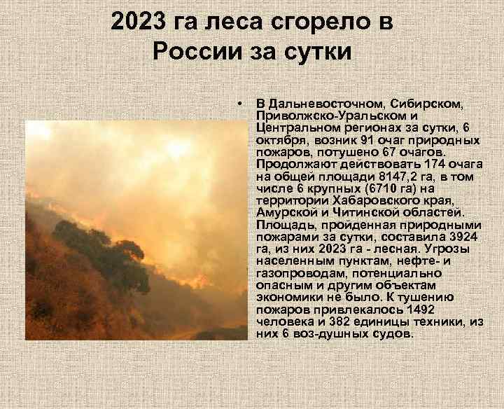 2023 га леса сгорело в России за сутки • В Дальневосточном, Сибирском, Приволжско-Уральском и