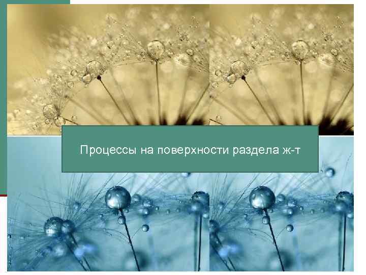 Процессы на поверхности раздела ж-т НТ-10 