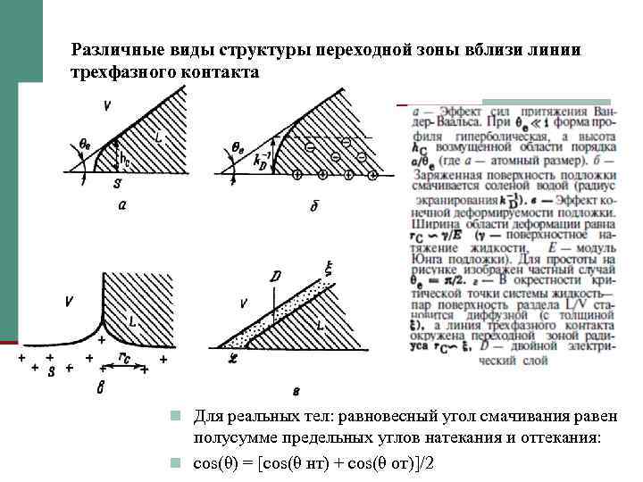 Различные виды структуры переходной зоны вблизи линии трехфазного контакта n Для реальных тел: равновесный