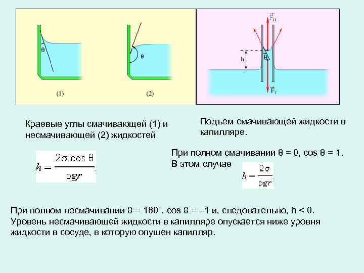 Краевые углы смачивающей (1) и несмачивающей (2) жидкостей Подъем смачивающей жидкости в капилляре. При