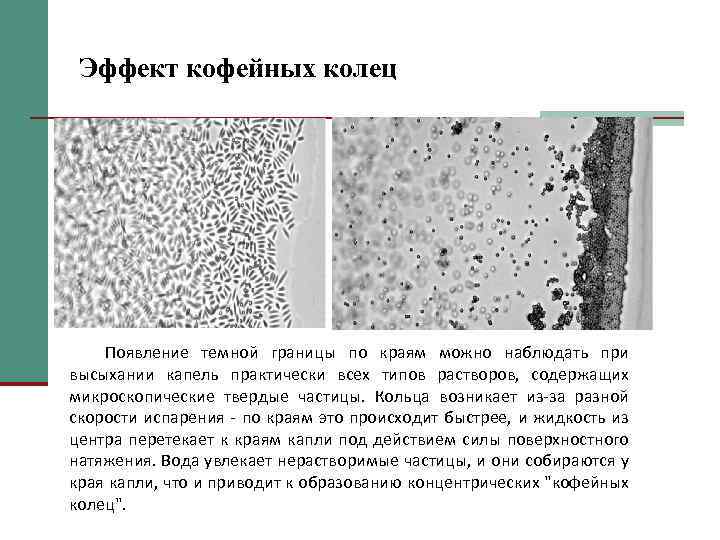 Эффект кофейных колец Появление темной границы по краям можно наблюдать при высыхании капель практически