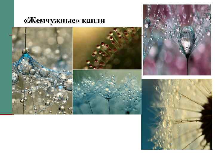  «Жемчужные» капли 