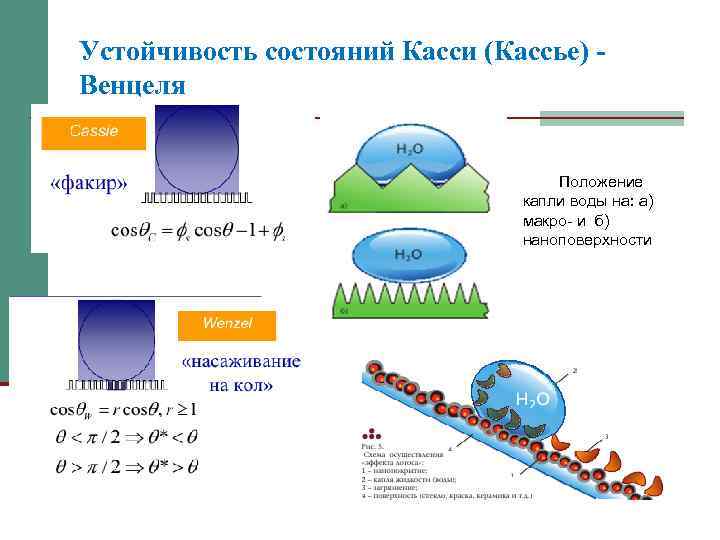 Устойчивость состояний Касси (Кассье) Венцеля Положение капли воды на: а) макро- и б) наноповерхности
