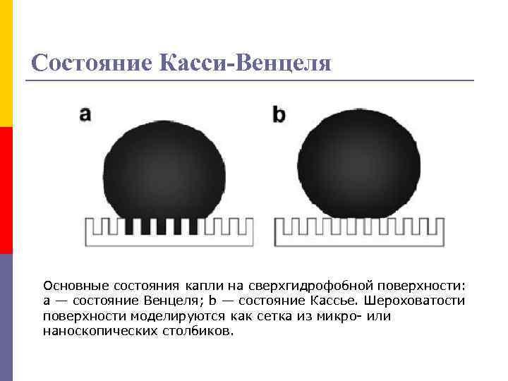 Состояние Касси-Венцеля Основные состояния капли на сверхгидрофобной поверхности: а — состояние Венцеля; b —