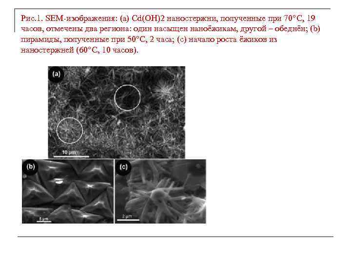 Рис. 1. SEM-изображения: (a) Cd(OH)2 наностержни, полученные при 70°С, 19 часов, отмечены два региона: