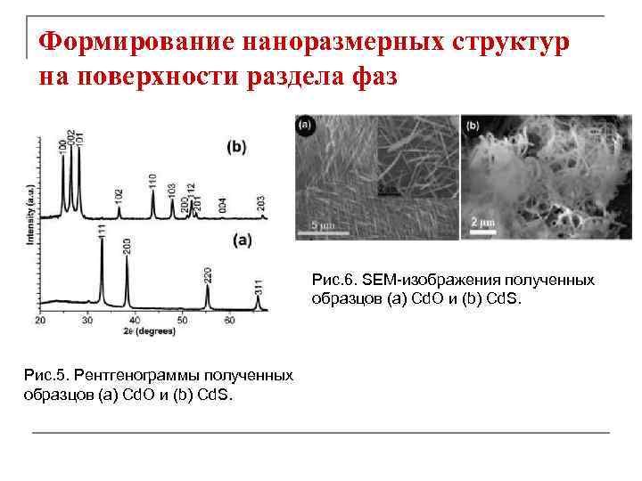 Формирование наноразмерных структур на поверхности раздела фаз Рис. 6. SEM-изображения полученных образцов (a) Cd.