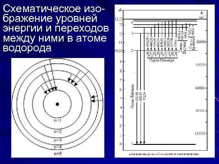 На рисунке дана схема энергетических уровней атома водорода