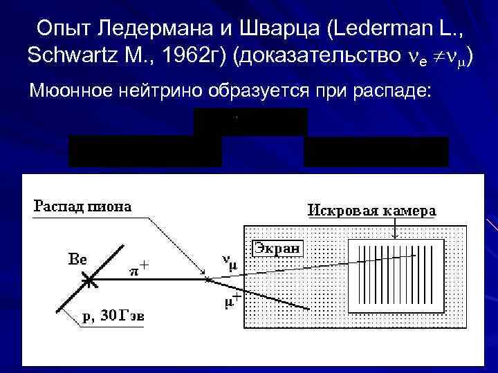 Опыт Ледермана и Шварца (Lederman L. , Schwartz M. , 1962 г) (доказательство e