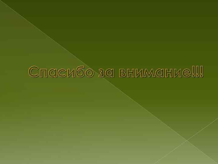 Спасибо за внимание!!! 