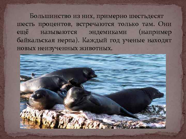 Большинство из них, примерно шестьдесят шесть процентов, встречаются только там. Они ещё называются эндемиками