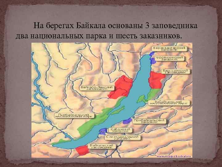 На берегах Байкала основаны 3 заповедника два национальных парка и шесть заказников. 