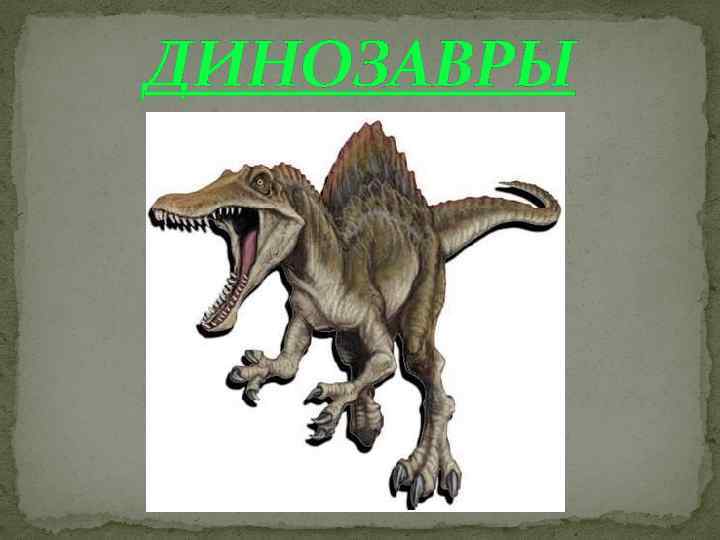 ДИНОЗАВРЫ 