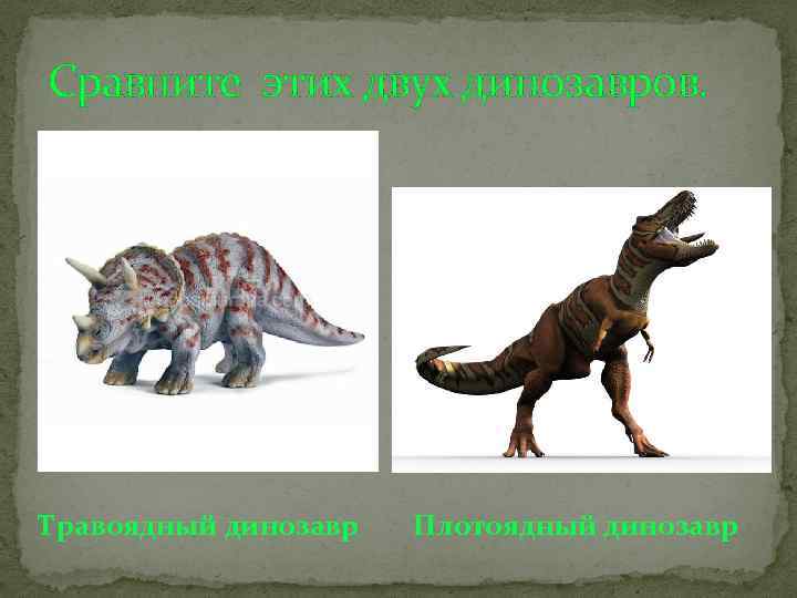 Сравните этих двух динозавров. Травоядный динозавр Плотоядный динозавр 