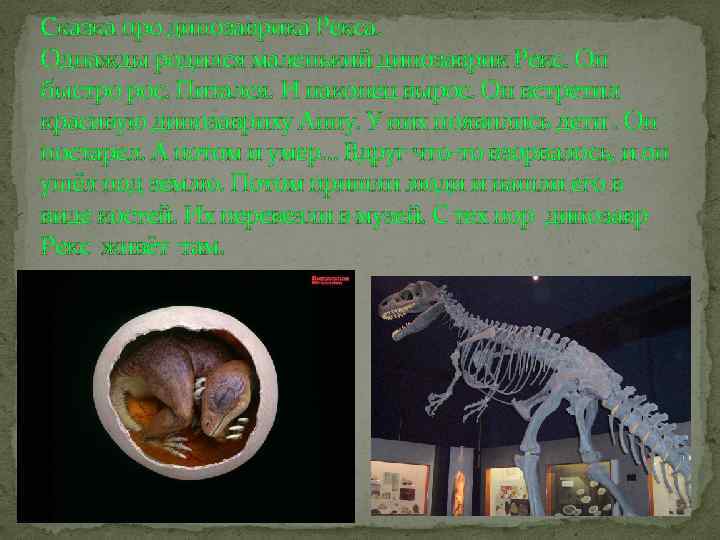 Сказка про динозаврика Рекса. Однажды родился маленький динозаврик Рекс. Он быстро рос. Питался. И