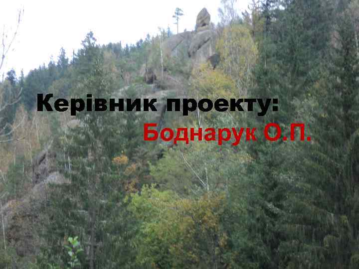 Керівник проекту: Боднарук О. П. 