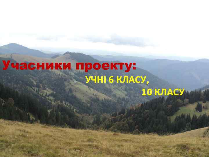 Учасники проекту: УЧНІ 6 КЛАСУ, 10 КЛАСУ 