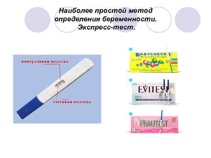 Наиболее простой метод определения беременности. Экспресс-тест. 