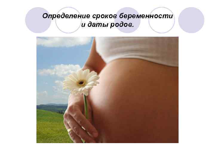 Определение сроков беременности и даты родов. 