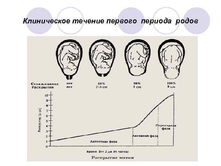 Карта смп роды 1 период