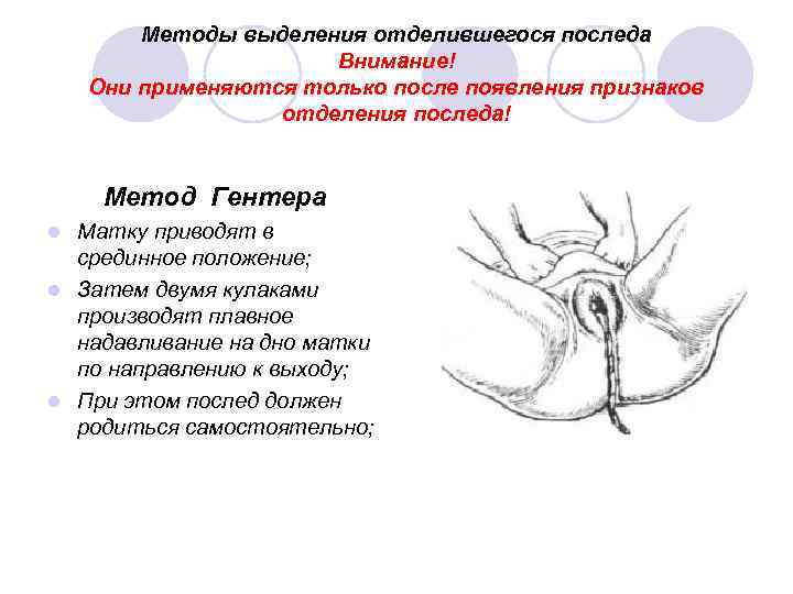 Признаки отделения плаценты