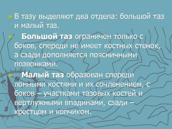  ► В тазу выделяют два отдела: большой таз и малый таз. ► Большой