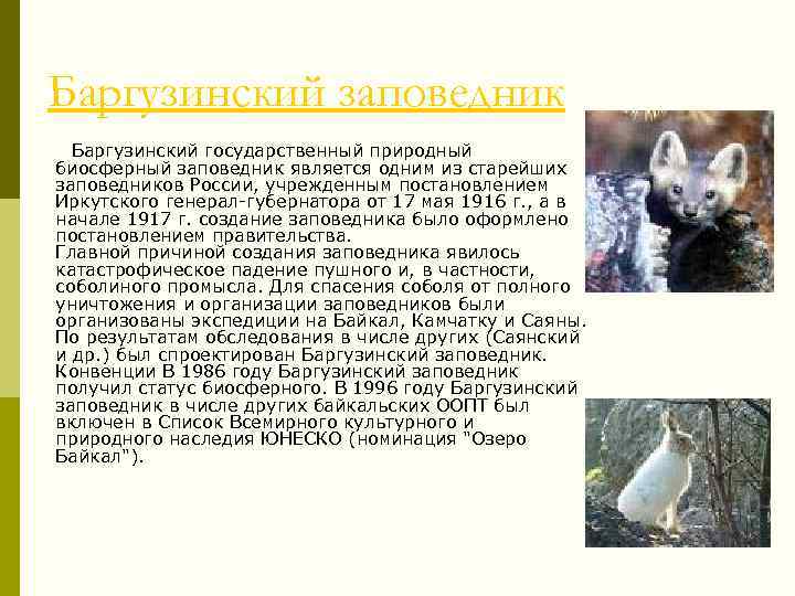 Баргузинский заповедник Баргузинский государственный природный биосферный заповедник является одним из старейших заповедников России, учрежденным