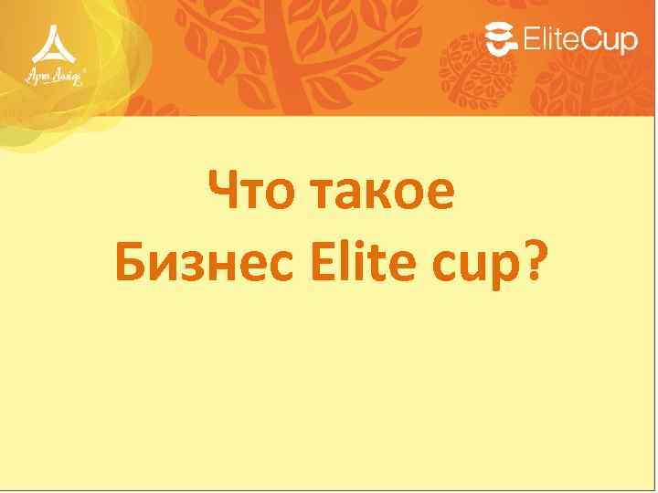 Что такое Бизнес Elite cup? 