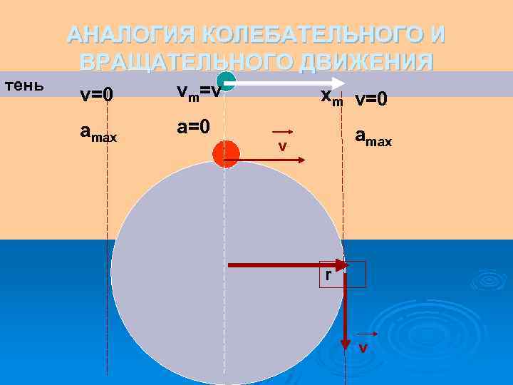 тень АНАЛОГИЯ КОЛЕБАТЕЛЬНОГО И ВРАЩАТЕЛЬНОГО ДВИЖЕНИЯ v=0 vm=v amax a=0 xm v=0 amax v