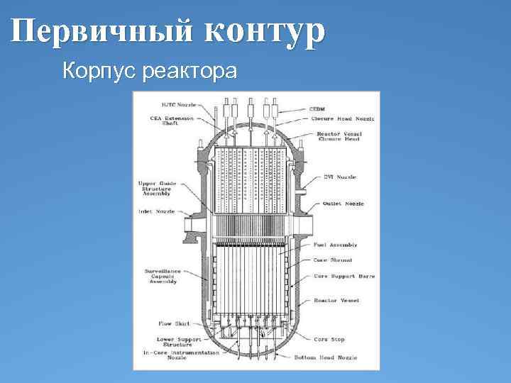 Первичный контур Корпус реактора 