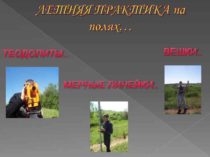 ЛЕТНЯЯ ПРАКТИКА на полях… ТЕОДОЛИТЫ. . МЕРНЫЕ ЛИНЕЙКИ. . ВЕШКИ. . 