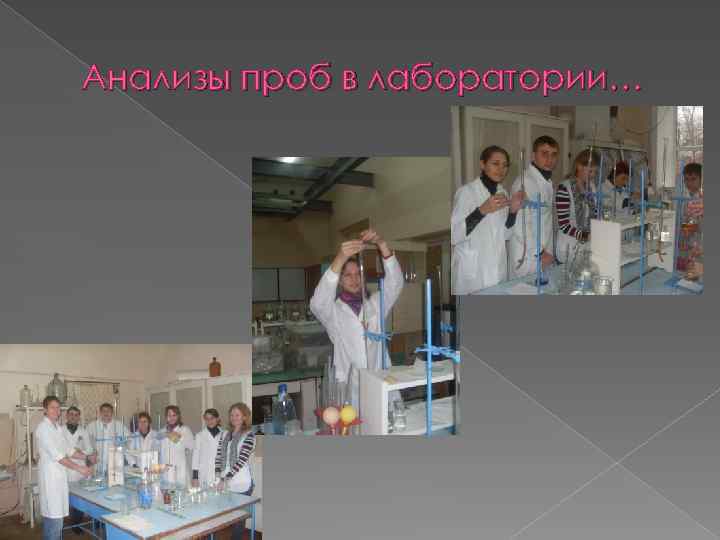 Анализы проб в лаборатории… 