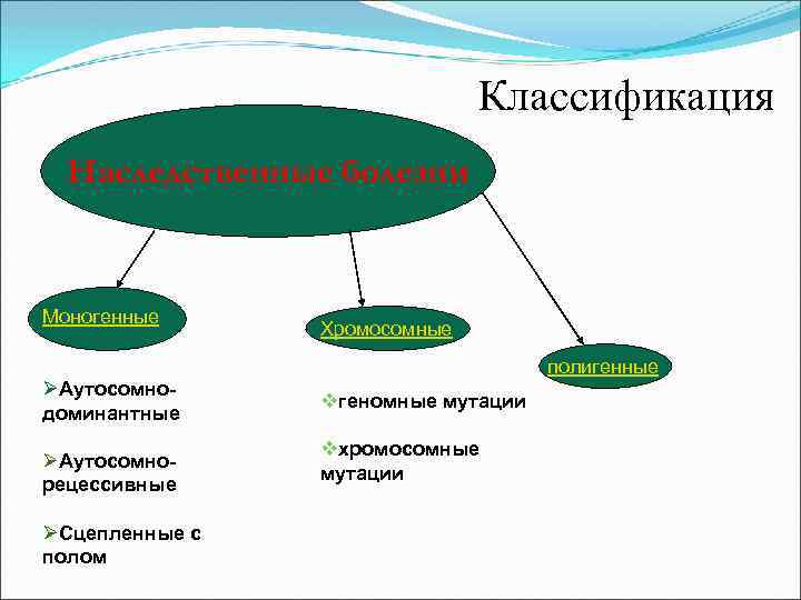 Классификация Наследственные болезни Моногенные ØАутосомнодоминантные ØАутосомнорецессивные ØСцепленные с полом Хромосомные полигенные vгеномные мутации vхромосомные