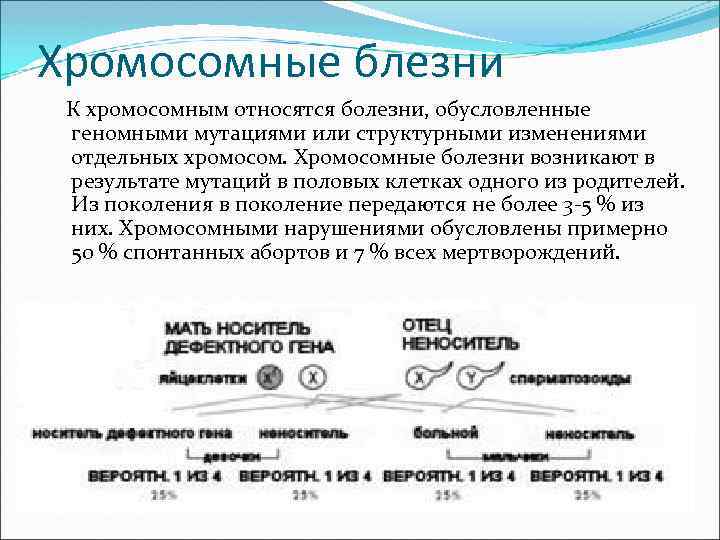 Хромосомные блезни К хромосомным относятся болезни, обусловленные геномными мутациями или структурными изменениями отдельных хромосом.