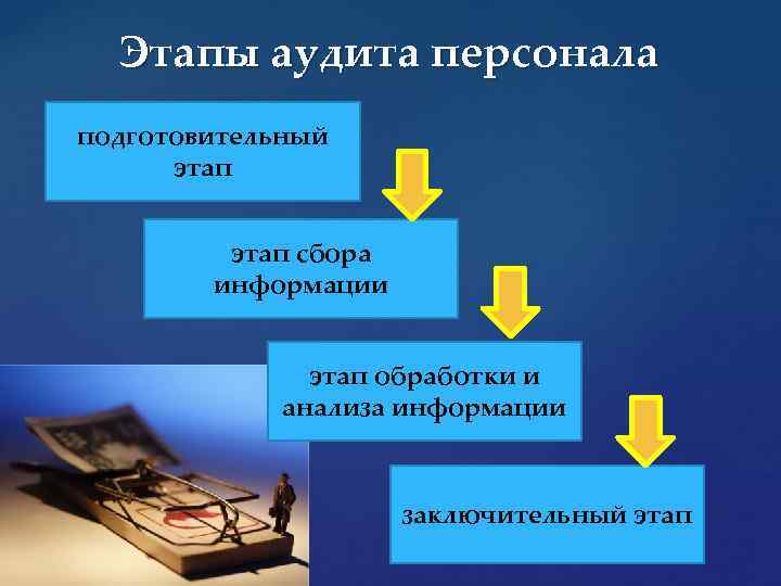 Аудит кадров. Этапы аудита. Этапы аудита персонала. Каковы основные этапы проведения аудита?. Подготовительный этап аудита.