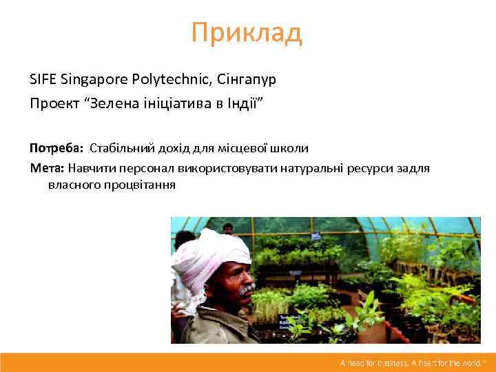 Приклад SIFE Singapore Polytechnic, Сінгапур Проект “Зелена ініціатива в Індії” Потреба: Стабільний дохід для