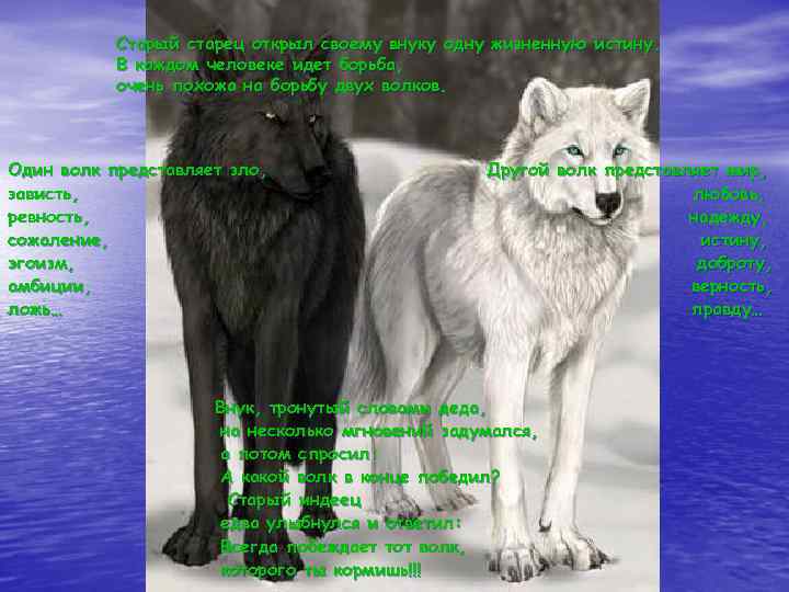 Старый старец открыл своему внуку одну жизненную истину. В каждом человеке идет борьба, очень