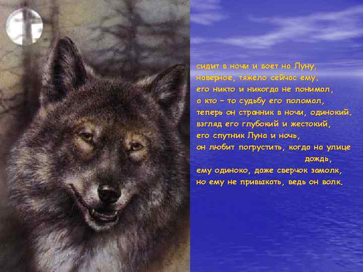 сидит в ночи и воет на Луну, наверное, тяжело сейчас ему. его никто и