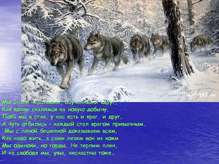Мы стали черствыми, обученными вдруг, Как волки скалимся на новую добычу. Пока мы в