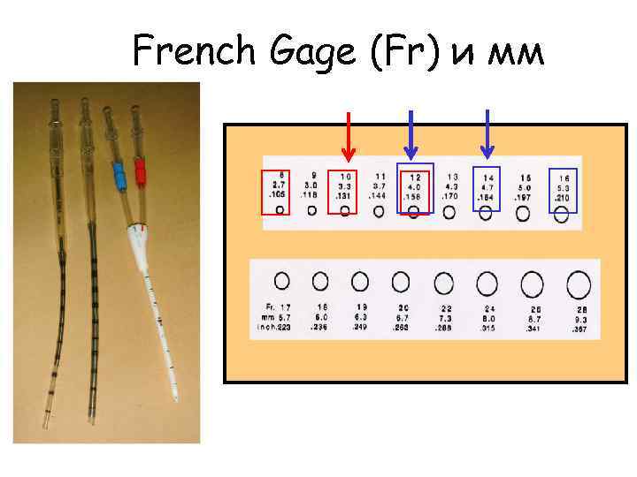 French Gage (Fr) и мм 