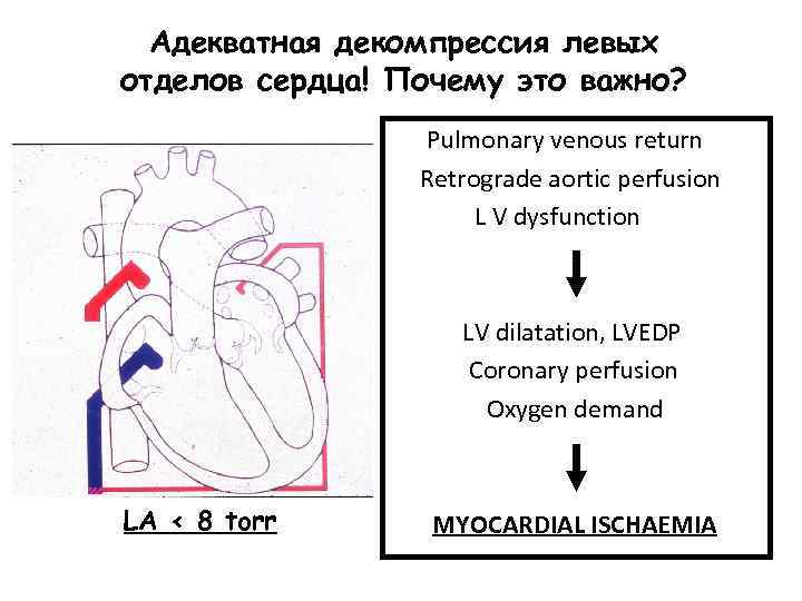 Адекватная декомпрессия левых отделов сердца! Почему это важно? Pulmonary venous return Retrograde aortic perfusion