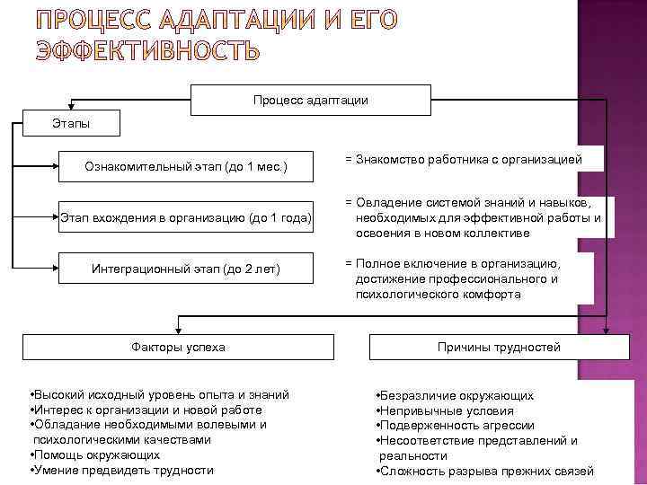 Контроль процесса адаптации. Организация процесса адаптации. Стадии адаптации работника в организации.