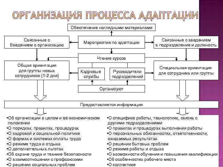 План мероприятий программы социальной адаптации