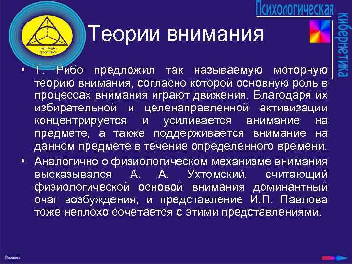 Теории внимания • Т. Рибо предложил так называемую моторную теорию внимания, согласно которой основную