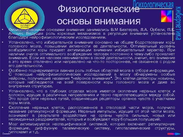 Физиологические основы внимания • • • Физиологическими основами внимания занимались В. М Бехтерев, Л.