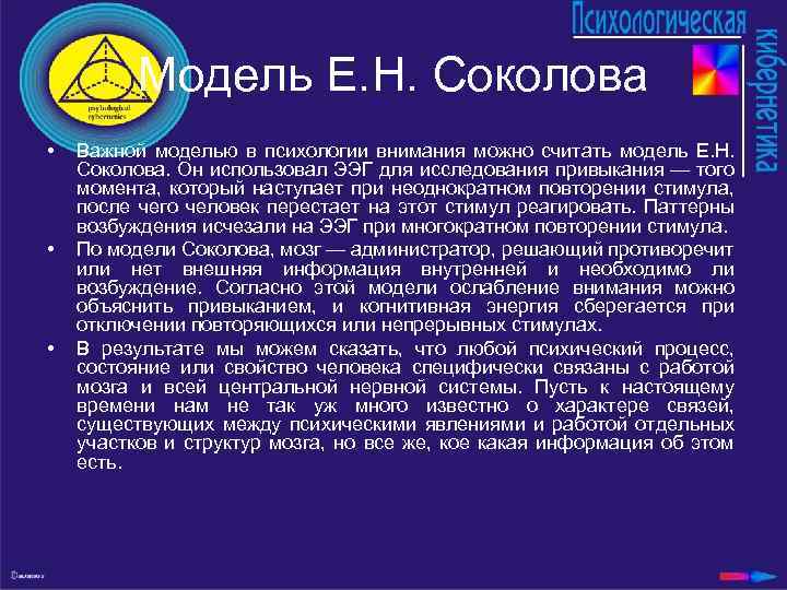 Модель Е. Н. Соколова • • • Важной моделью в психологии внимания можно считать