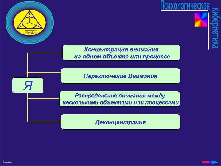 Концентрация внимания на одном объекте или процессе Я Переключение Внимания Распределение внимания между несколькими