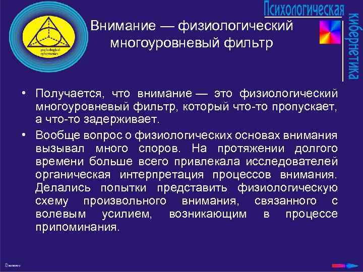 Внимание — физиологический многоуровневый фильтр • Получается, что внимание — это физиологический многоуровневый фильтр,