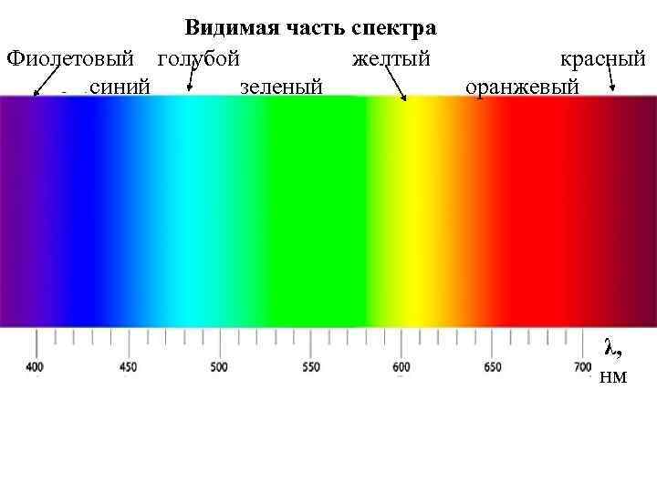 Видимая часть спектра Фиолетовый голубой желтый синий зеленый красный оранжевый λ, нм 